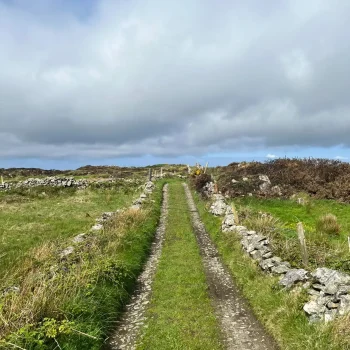 paysage irlandais, inspiration voyage pour maroquinerie artisanale