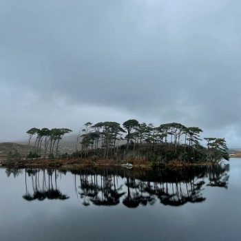 paysage irlandais, inspiration ile arbres Connemara pour maroquinerie artisanale