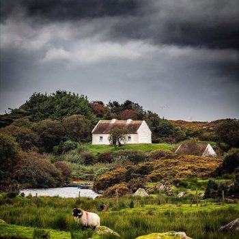 paysage irlandais, inspiration maison champ pour maroquinerie artisanale