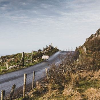 paysage irlandais, inspiration route mouton pour maroquinerie artisanale